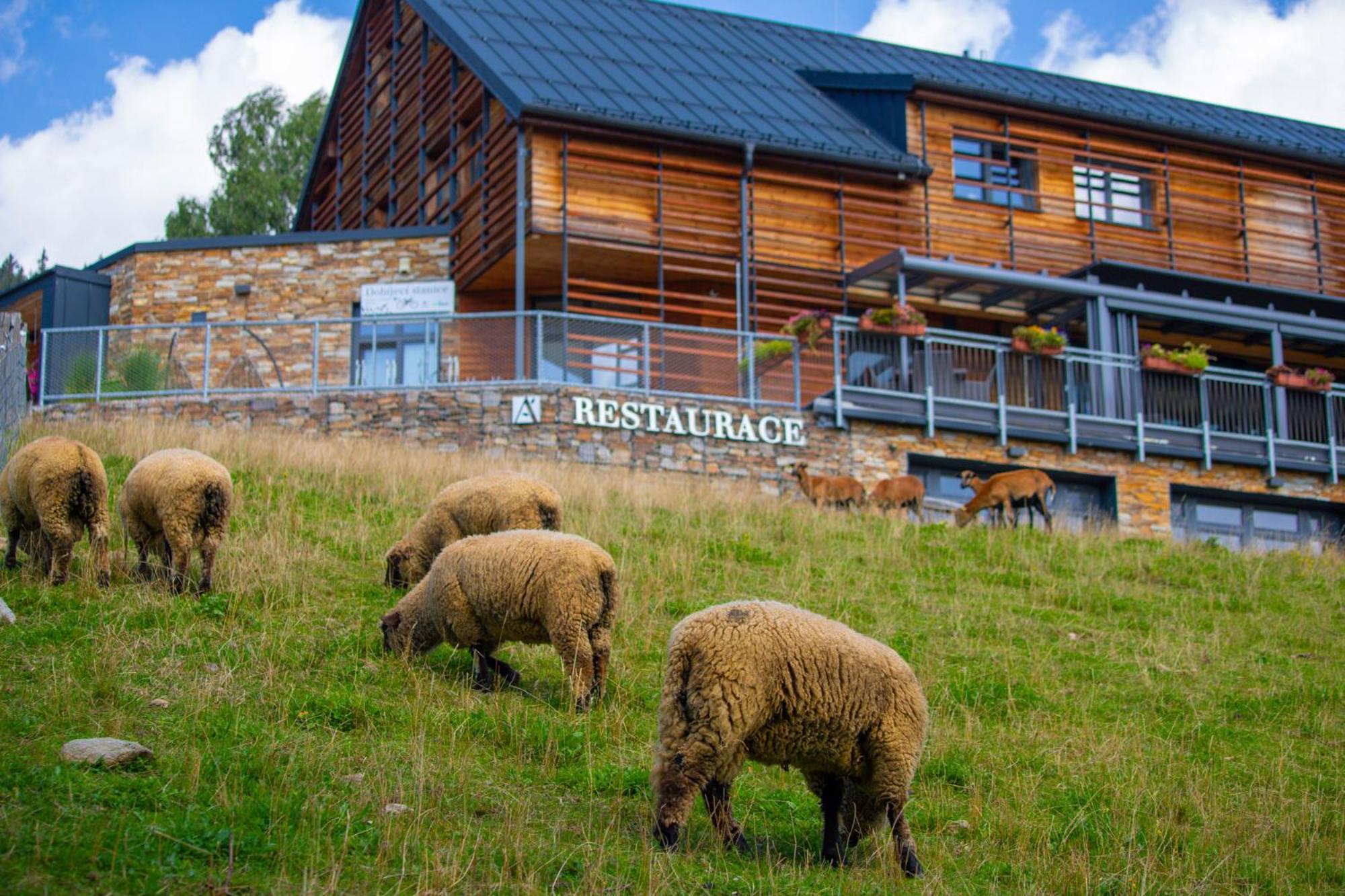 Amenity Hotel & Resort Špindlerŭv Mlýn Exterior foto